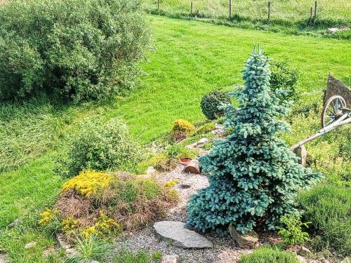 a small christmas tree in a garden at Chalet Srub Pohodář by Interhome in Benešov nad Černou