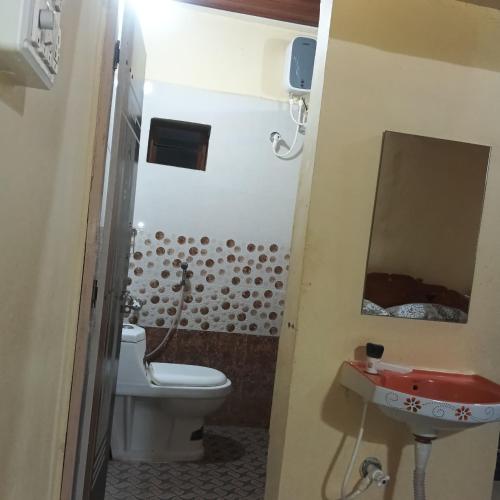 a bathroom with a toilet and a sink and a mirror at Lily Homestay in New Hampi