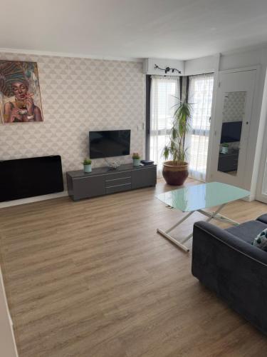 Appartement 40 m2 climatisé au centre ville de LGM