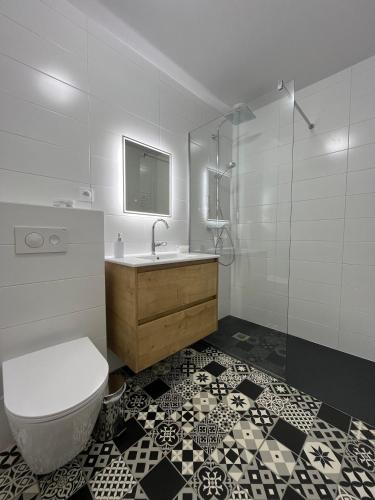 a bathroom with a toilet and a sink and a shower at La Cour de Mamama Appartement 7 in Ohnenheim