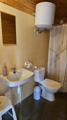 a bathroom with a toilet and a sink at Viitna Puhkekeskus in Viitna