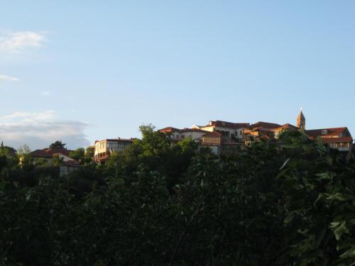 a group of houses on a hill with trees at Lia's Guest House in Sighnaghi