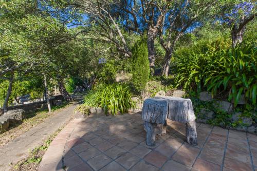 Κήπος έξω από το Casa del Limone Gioiosa Marea