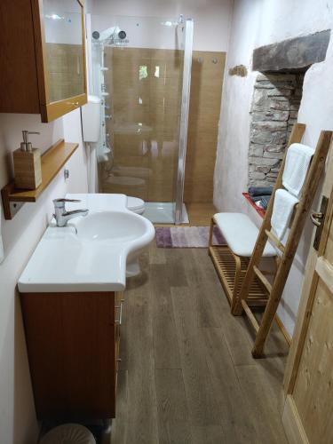 a bathroom with a sink and a shower at Maison en Pierre in Fiastra