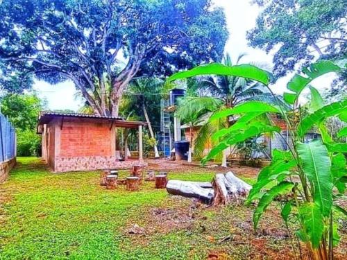 a yard with a building and some trees and grass at Cabaña desde 4 huéspedes 560 metros cuadrados con Naturaleza a 300 metros mar in Necoclí