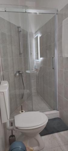 a bathroom with a shower with a toilet and a sink at MaRo s prelijepim pogledom in Jesenice