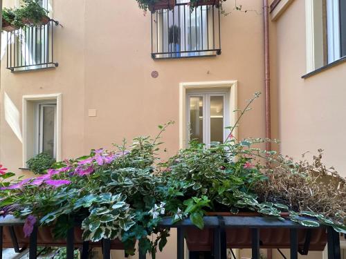 a window box filled with flowers in front of a building at Palazzo Lucia in Ascea