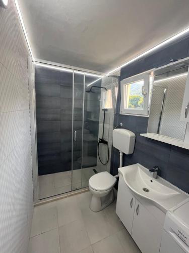 ein Badezimmer mit Toilette, Dusche und Waschbecken in der Unterkunft Apartment ZORE in Herceg-Novi