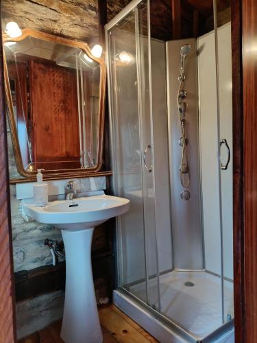 a bathroom with a sink and a shower at Granja del Peregrino in O Pino 