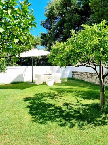 a lawn with a table and a tree in a yard at Casa di Jiovanni Luxury in Asgourou