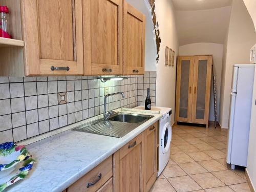 a kitchen with a sink and a white refrigerator at Appartamento al volt in Tenno