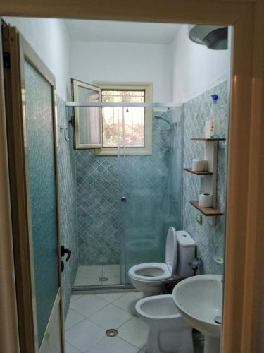 a bathroom with a toilet and a sink and a shower at Villa Agim,Hena in Vlorë