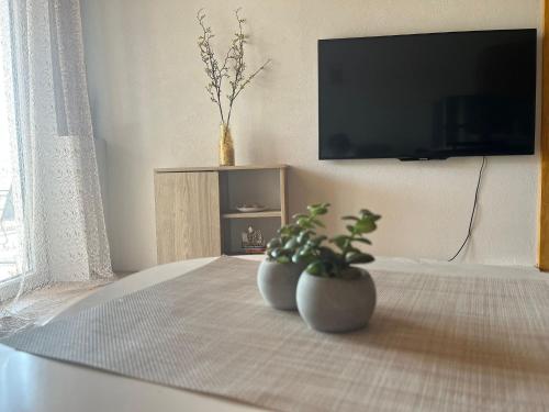 two plants in vases sitting on a bed with a television at Apartmani Matković in Žuljana