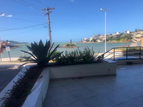 a view of a body of water with a plant at Apartment Pé na Areia - Guarapari in Guarapari