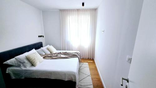 GREEN STAR DALMATIA new with free parking