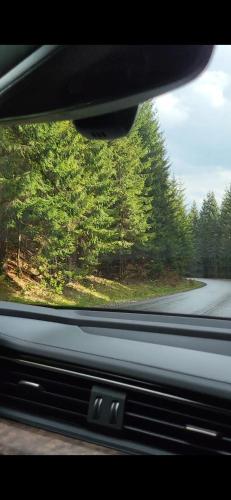 a view from a car window of a road with trees at Котеджі Карпати Fest in Mizhhirʼʼya