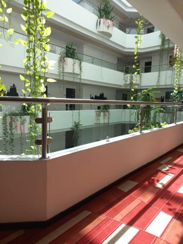 a balcony with potted plants in a building at Paris FC Hotel in Poza Rica de Hidalgo