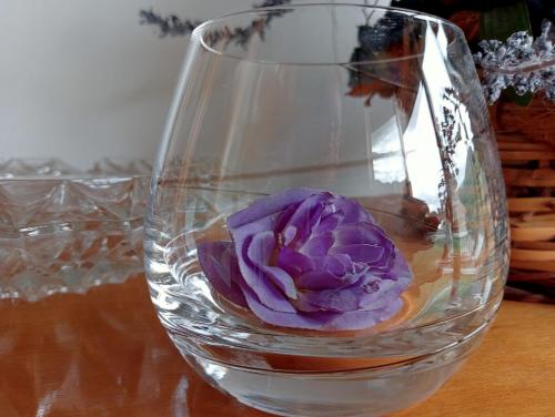 a purple flower in a glass vase on a table at Anguiano Habitaciones rurales con baño privado in Anguiano
