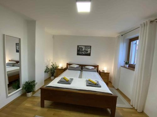 a bedroom with a bed and a large mirror at Sárkányhegyi Apartman in Balatonederics