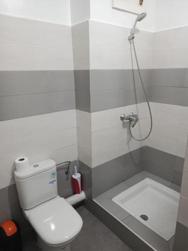 a bathroom with a shower and a toilet and a tub at Charming Appartment in Imi Ouaddar