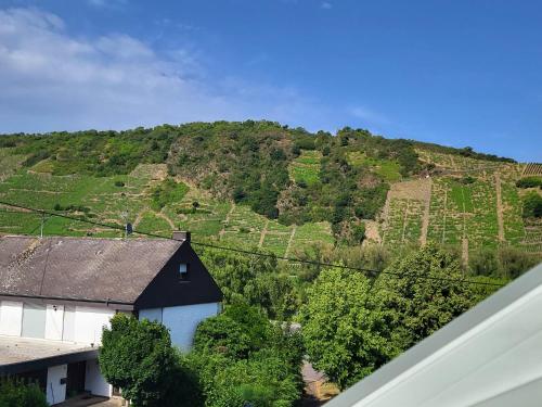 a view of a hill with a house and a mountain at Moselluft2 in Leiwen
