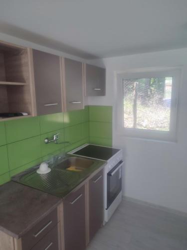 a green kitchen with a sink and a window at Apartman U Prizemlju Banja Vrujci in Gornja Toplica