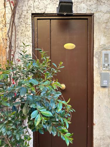 Home Delfini in Trastevere
