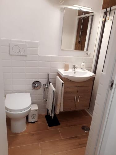 Home Delfini in Trastevere