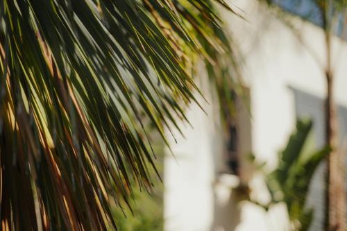 Φωτογραφία από το άλμπουμ του L'Oasis Vendargues σε Vendargues
