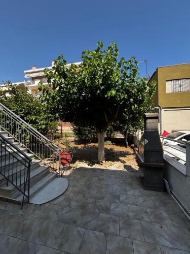 FanLex Summer House