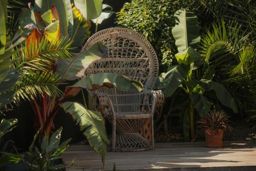 Κήπος έξω από το L'Oasis Vendargues