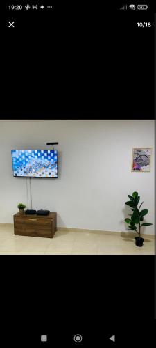 a living room with a tv and a potted plant at Apartamento en Barranquilla in Barranquilla