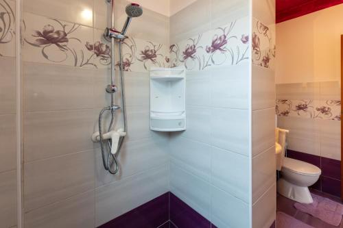 a bathroom with a shower and a toilet at Apartman Fonovici in Juraši