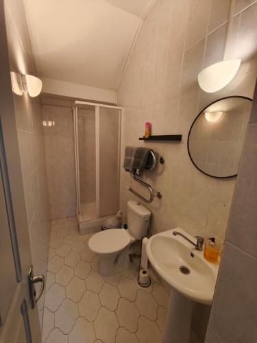 a bathroom with a sink and a toilet and a shower at Klaipėdos centras 24 in Klaipėda