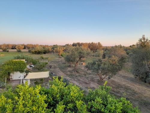 Naturlandskabet i nærheden af campingpladsen