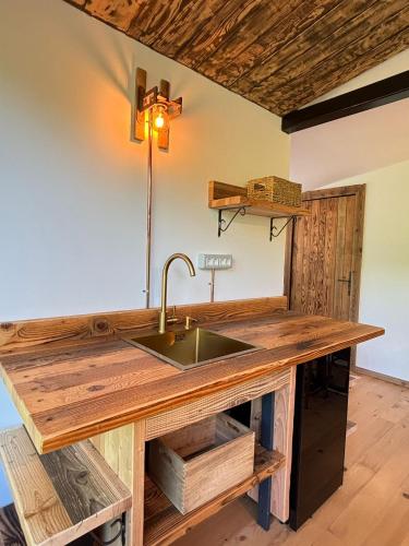 a kitchen counter with a sink in a room at Stone Village Transfagarasan in Oeștii Ungureni