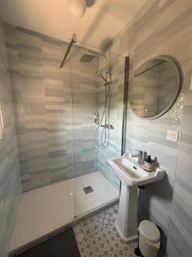 a bathroom with a shower and a sink at Guest-House Château de Longecourt en Plaine in Longecourt-en-Plaine