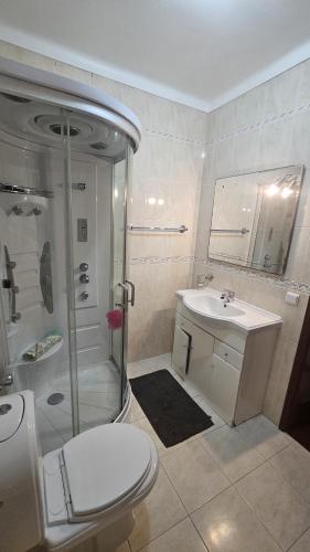 a bathroom with a shower and a toilet and a sink at Casa dos trevos in Pataias