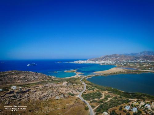 an aerial view of a beach and the ocean at Naxos Palace Hotel in Stelida