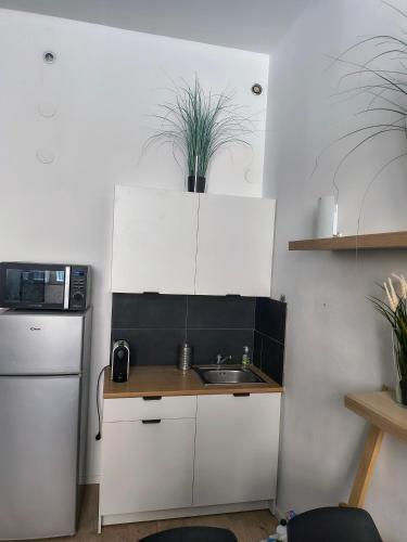 une petite cuisine avec un évier et un réfrigérateur dans l'établissement Be For You, à Montpellier