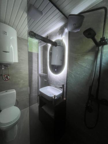 a bathroom with a toilet and a sink and a light at Evergreen Tiny Homes in Peje