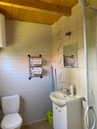 a bathroom with a toilet and a sink at Plażowa Domki in Mielenko