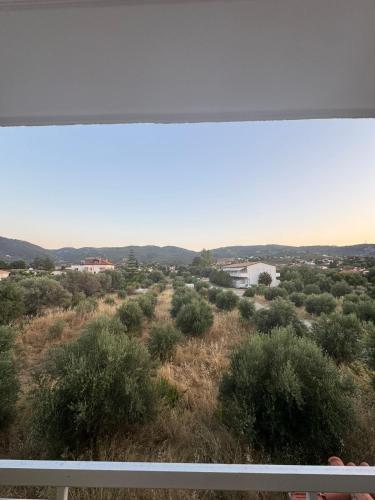 a view of a field with bushes and trees at Blue Calm - Kalamos Seaside Studios in Áyioi Apóstoloi