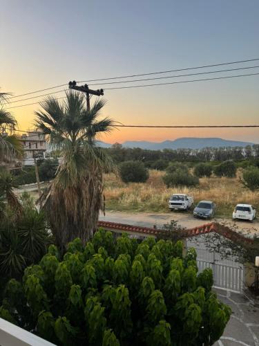a view of a palm tree and a parking lot at Blue Calm - Kalamos Seaside Studios in Áyioi Apóstoloi