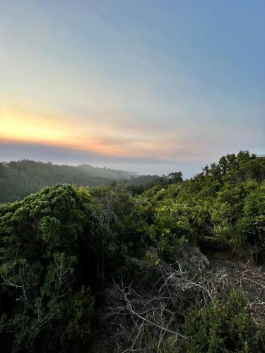 a view from the top of a hill with trees at Casa Bosque Olas de Buchupureo in Cobquecura