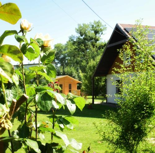 Przystanek Przegalina