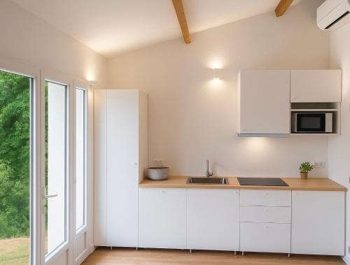 une cuisine blanche avec un évier et un micro-ondes dans l'établissement Gîte Le Vélo Bleu - Airco & Parking, à Sarlat-la-Canéda