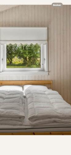 a bed in a room with a window at Bøtøstrand feriehus 90 in Marielyst