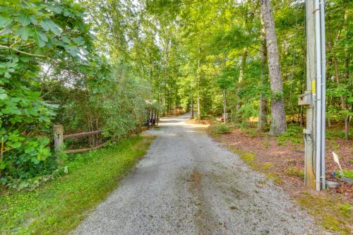 a dirt road with trees on both sides at 6 Mi to Helen Mtn-View Retreat with Hot Tub! in Clarkesville
