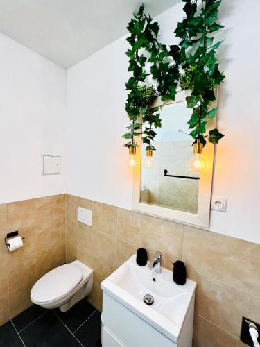 a bathroom with a toilet and a sink and a mirror at CASA CLARA Walk-in Shower in Magdeburg